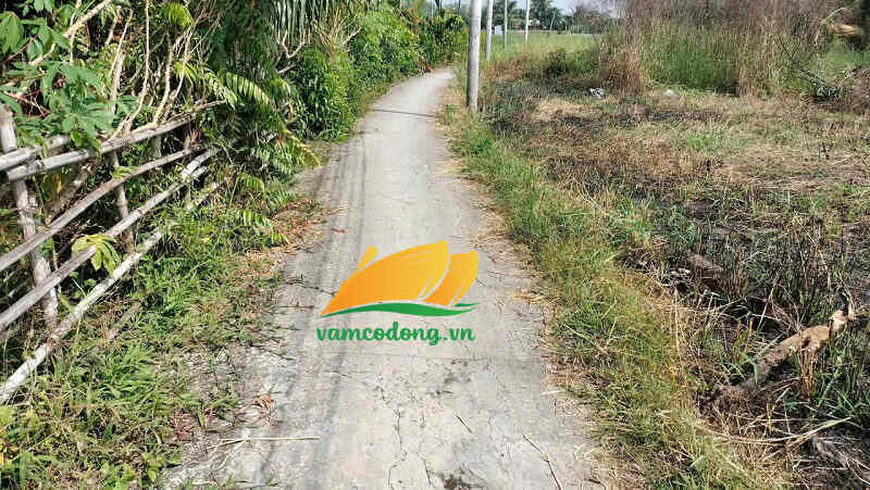 27.348.01 Nền 77m2 đường đan 2m Bình Trinh Đông